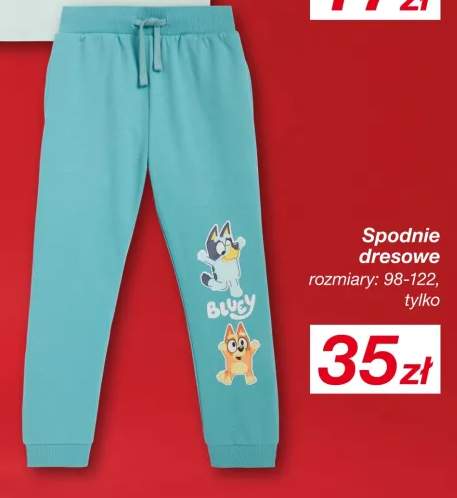Spodnie dresowe Bluey