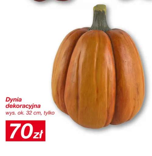 Dynia dekoracyjna