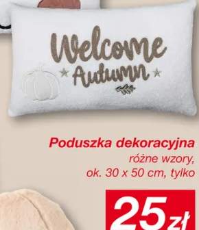 Poduszka dekoracyjna 30x50 cm